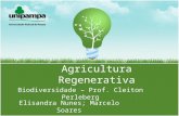 Agricultura Regenerativa Elisandra Nunes; Marcelo Soares Biodiversidade – Prof. Cleiton Perleberg.