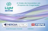 A Visão do Investidor em Projetos de Cogeração André Breviglieri Almeida 16/6/2015.