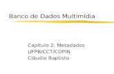 Banco de Dados Multimídia Capítulo 2: Metadados UFPB/CCT/COPIN Cláudio Baptista.