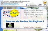 Bancos de Dados Biológicos I Daniel Guariz Pinheiro.