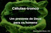 Células-tronco Um presente de Deus para os homens Erlane Marques Ribeiro - FMJ.