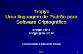Tropyc 1 Tropyc Uma linguagem de Padrão para Software Criptográfico Bringel Filho bringel@lia.ufc.br Universidade Federal do Ceará.