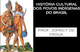 HISTÓRIA CULTURAL DOS POVOS INDÍGENAS DO BRASIL PROF. JOHNCY DE PÁDUA.