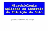 Microbiologia Aplicada ao Controle da Poluição do Solo Juliana Calábria de Araujo.