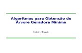 Algoritmos para Obtenção de Árvore Geradora Mínima Fabio Tirelo.