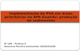 IF 128 – Pratica II Geovana Pereira Guimarães 2010225269 Implementação de PSA em áreas prioritárias na APA Guandu: produção de sedimentos.