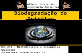 Biodegradação do Petróleo Faculdade de Viçosa - FDV Engenharia Ambiental DEA 230 – Microbiologia e Bioquímica Aplicadas Professora: Narah Vitarelli.