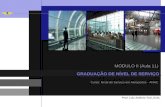 Curso: Nível de Serviço em Aeroportos - ANAC GRADUAÇÃO DE NÍVEL DE SERVIÇO MÓDULO II (Aula 11) Prof. Luiz Antônio Tozi, D.Sc.