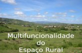 Multifuncionalidade do Espaço Rural. Segundo a OCDE, as NUT III são: Predominantemente rurais – se mais 50% da população reside em freguesias com menos.
