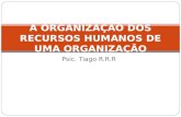 Psic. Tiago R.R.R A ORGANIZAÇÃO DOS RECURSOS HUMANOS DE UMA ORGANIZAÇÃO.