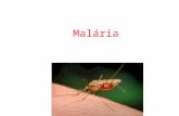 Malária. Conhecida também por Maleita, impaludismo ou febre intermitente, é considerada uma grave protozoose,uma vez que está presente em quase 100 países.