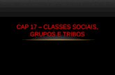 CAP 17 – CLASSES SOCIAIS, GRUPOS E TRIBOS. ACULTURAÇÃO E ASSIMILAÇÃO Os primeiros cientistas sociais, que desenvolveram seus estudos no séc. XIX e no.