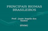 PRINCIPAIS BIOMAS BRASILEIROS Prof : Junio Angelo dos Santos IFNMG.