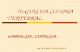 ALGIAS DA COLUNA VERTEBRAL LOMBALGIA / CIATALGIA Prof. Dr. GABRIEL PAULO SKROCH.