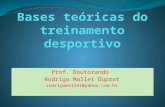 Prof. Doutorando Rodrigo Mallet Duprat rodrigomallet@yahoo.com.br.