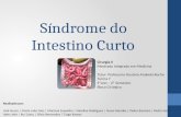 Síndrome do Intestino Curto Realizado por: José Sousa | Maria João Dias | Mariana Saavedra | Natalina Rodrigues | Nuno Mendes | Pedro Barreira | Pedro.