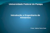 Universidade Federal do Pampa Introdução a Engenharia de Alimentos Profa. Valéria Terra Crexi.
