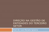 DIREÇÃO NA GESTÃO DE ENTIDADES DO TERCEIRO SETOR Prof. Dr. Luiz Renato Ignarra.