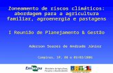 I Reunião de Planejamento & Gestão Aderson Soares de Andrade Júnior Campinas, SP, 08 e 09/03/2006 Zoneamento de riscos climáticos: abordagem para a agricultura.