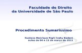 Faculdade de Direito da Universidade de São Paulo Procedimento Sumaríssimo Gustavo Henrique Righi Ivahy Badaró aulas de 04 e 11 de março de 2011 Faculdade.