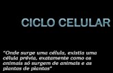 “Onde surge uma célula, existia uma célula prévia, exatamente como os animais só surgem de animais e as plantas de plantas” Rudolf Virchow, 1958.