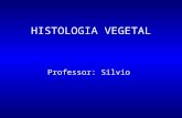 HISTOLOGIA VEGETAL Professor: Silvio. Tecido meristemático As células do embrião da planta perdem gradativamente a capacidade de se dividir; Em algumas.