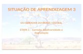 SITUAÇÃO DE APRENDIZAGEM 3 OS CERRADOS DO BRASIL CENTRAL ETAPA 1 – Cerrado: biodiversidade e degradação.