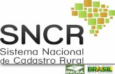 Sistema Nacional de Cadastro Rural – SNCR  O Sistema Nacional de Cadastro Rural – SNCR foi instituído pela Lei nº 5.868, de 12 de dezembro de 1972. Lei.