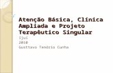Atenção Básica, Clínica Ampliada e Projeto Terapêutico Singular Ijuí 2010 Gusttavo Tenório Cunha.