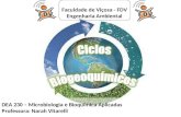 Faculdade de Viçosa - FDV Engenharia Ambiental DEA 230 – Microbiologia e Bioquímica Aplicadas Professora: Narah Vitarelli.