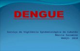 Serviço de Vigilância Epidemiológica de Cubatão Márcia Sucomine MARÇO- 2010.