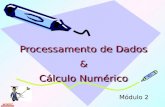 Processamento de Dados & Cálculo Numérico Processamento de Dados & Cálculo Numérico Módulo 2.