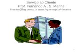 1 Serviço ao Cliente Prof. Fernando A. S. Marins fmarins@feg.unesp.br fmarins fmarins@feg.unesp.brfmarins.
