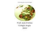 Introdução a sociologia Prof. João Freitas Colégio Anglo 2015.