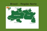 Brasil – Região Norte. Amazônia Legal A Amazônia Legal é uma área que engloba nove estados brasileiros pertencentes à Bacia amazônica e, consequentemente,