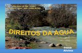 Irene Alvina DECLARAÇÃO UNIVERSAL DOS DIREITOS DA ÁGUA. A presente Declaração Universal dos Direitos da Água foi proclamada.