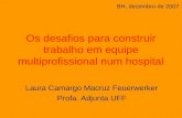 Os desafios para construir trabalho em equipe multiprofissional num hospital Laura Camargo Macruz Feuerwerker Profa. Adjunta UFF BH, dezembro de 2007.