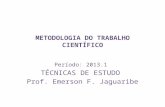 METODOLOGIA DO TRABALHO CIENTÍFICO Período: 2013.1 TÉCNICAS DE ESTUDO Prof. Emerson F. Jaguaribe.