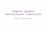 Alguns grupos bacterianos especiais Keite Nogueira.