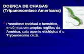 DOENÇA DE CHAGAS (Tripanosomíase Americana)  Parasitose tecidual e hemática, endêmica em amplas regiões da América, cujo agente etiológico é o Trypanosoma.
