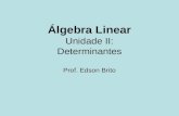 Álgebra Linear Unidade II: Determinantes Prof. Edson Brito.