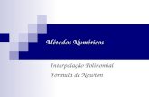 Métodos Numéricos Interpolação Polinomial Fórmula de Newton.