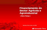 Financiamento do Sector Agrícola e Agroindustrial ( Mário Fidalgo ) Vila Real, 26 de Junho de 2015.