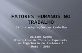 Juliana Guamá Disciplina de Tópicos Especiais em Engenharia de Sistemas I Maio - 2015 14.1 – Adaptações ao trabalho.