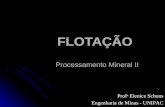 FLOTAÇÃO Processamento Mineral II Prof a Elenice Schons Engenharia de Minas - UNIPAC.