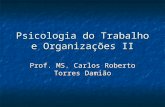 Psicologia do Trabalho e Organizações II Prof. MS. Carlos Roberto Torres Damião.
