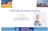 Infecção do trato urinário Winne Martins 11o semestre Internato em Pediatria  Brasília, 20 de maio de 2015.