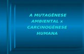 A MUTAGÊNESE AMBIENTAL x CARCINOGÊNESE HUMANA A MUTAGÊNESE AMBIENTAL x CARCINOGÊNESE HUMANA.