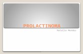 PROLACTINOMA Natalia Mendes. FISIOLOGIA DA PROLACTINA  Diversidade estrutural Little prolactin, Big prolactin, Big big prolactin, prolactina glicosilada