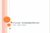 CICLOS BIOGEOQUÍMICOS Prof. Regis Romero. C ICLOS BIOGEOQUÍMICOS Ciclo em escala global, de elementos ou substâncias químicas que necessariamente contam.